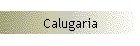Calugaria
