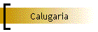 Calugaria